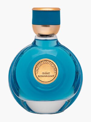 Parfum Pour Homme Gaïac Extravangant 100ml