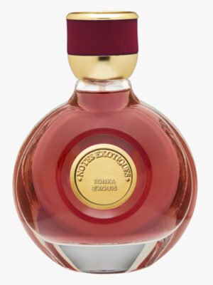 Parfum Pour Homme Tonka Exquis 100ml
